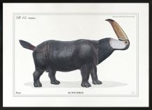 Chimère - gravure lithographie - le toucéros