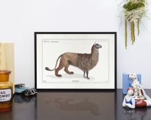 Chimère - gravure lithographie - l'alpalion