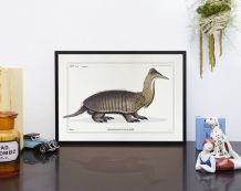 Chimère - gravure lithographie - l'hétatouron