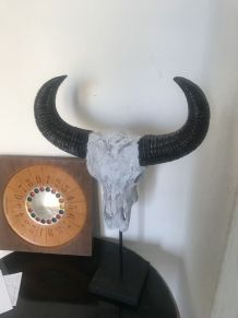 Tête de buffle 