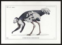 Chimères - gravure lithographie - lot de 2