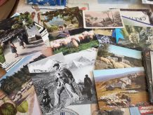 lot de 170 cpsm cpm bergers &amp;amp; chevres