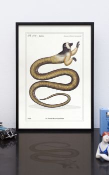 Chimère - gravure lithographie - le najafaka najafaka