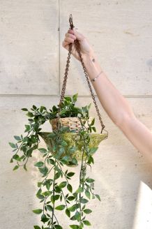 Suspension pour plantes