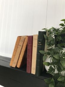 Ensemble de 6 livres anciens pour déco