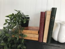 Ensemble de 6 livres anciens pour déco