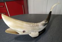 Poisson corne véritable