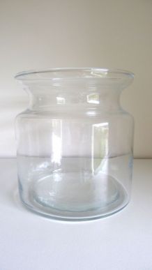 Vase en verre ou terrarium