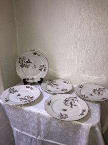 Lot de 5 assiettes en porcelaine « pâtes et émaux de Limoges