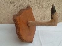 porte manteau vintage  pied  de chevreuil