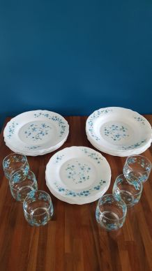 Service Arcopal Myosotis Veronica