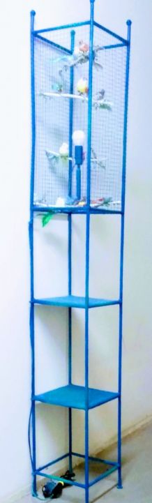Lampe volière bleue, cage oiseaux, étagères métal