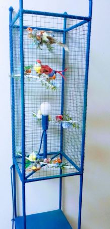Lampe volière bleue, cage oiseaux, étagères métal