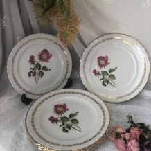 6 assiettes plates l'Amandinoise