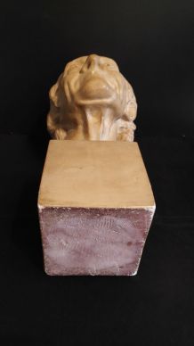 buste de Voltaire en plâtre