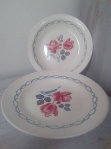 2 Plats Digoin Cannes