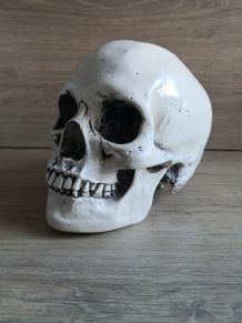 Crâne humain en céramique décoration médical