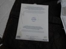 2 CHEMISES PETIT BATEAU NEUF VINTAGE BLANC VERT D EAU