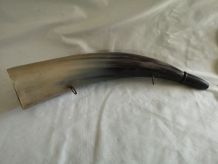 grand corne de berger de montagne 