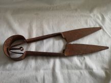 Très ancien Ciseau de tonte pour mouton debut 1900 