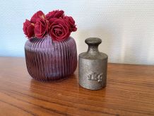 Poids de balance 1 kg