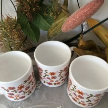 3 mugs Arcopal Scania