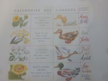 "Le calendrier des canards" : illustration enfantine vintage