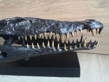 Crâne de crocodile d'eau salée en bronze