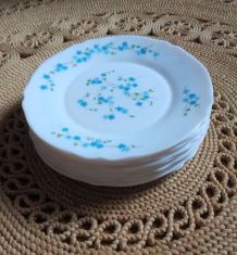 Lot de 12 assiettes plates veronica myosotis (Arcopal)