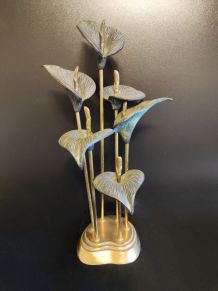 ensemble de fleurs d'arum