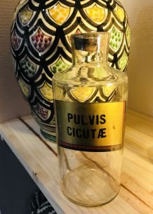 Pot apothicaire verre soufflé PULVIS 19ème