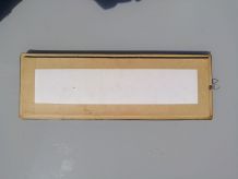 Cadre de Papillons Naturalisés Sous Verre Curiosité 