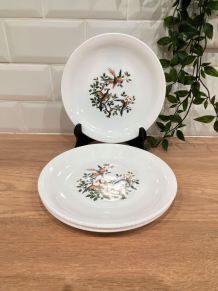 Set de 3 assiettes à dessert Arcopal