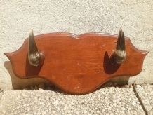 patères cornes  sur bois ,vintage