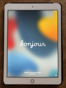 iPad Air 2 32 Go Wifi