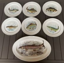 6 assiettes et 1 plat à poisson en porcelaine de Limoges 