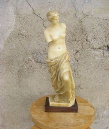 Vénus de Milo sculpture en cire