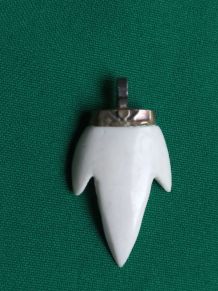 Dent de requin sculpté en pendentif / collier