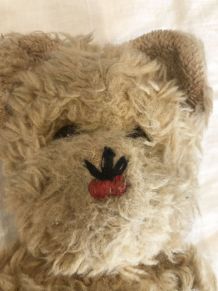 Ours en peluche ancien
