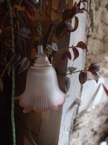 Baladeuse tulipe verre opaque liseret rose câble vert