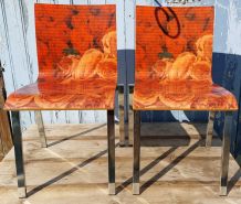 duo de chaises a motif de rose