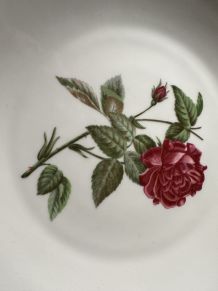 Plat à Gâteaux Vintage 1970 Porcelaine de Paris - Limoges Fr