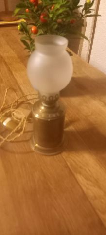 Lampe pigeon électrifiée