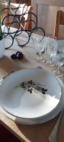 Service assiettes plate et creuse à fleurs Moulin des loups 