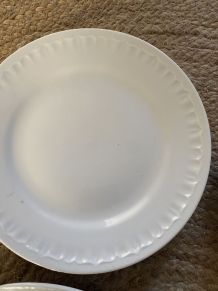 5 assiettes plates blanches différentes.
