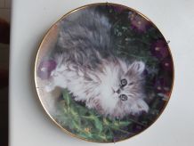 Assiette décorative purrfection fancy matthews