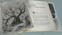 Livre "Contes de Provence" 1964