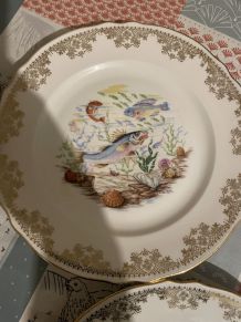 Lots  de 7 assiettes en porcelaine avec un grand plat 