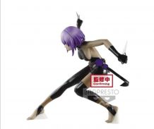 Figurine Fate Grand order Hassan of The serenity Servant Fig