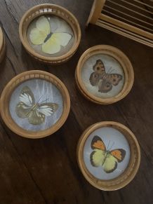 6 sous-verres papillons en rotin.